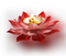 Lotus Deepak Brass Aluminium Red 0.09Kg